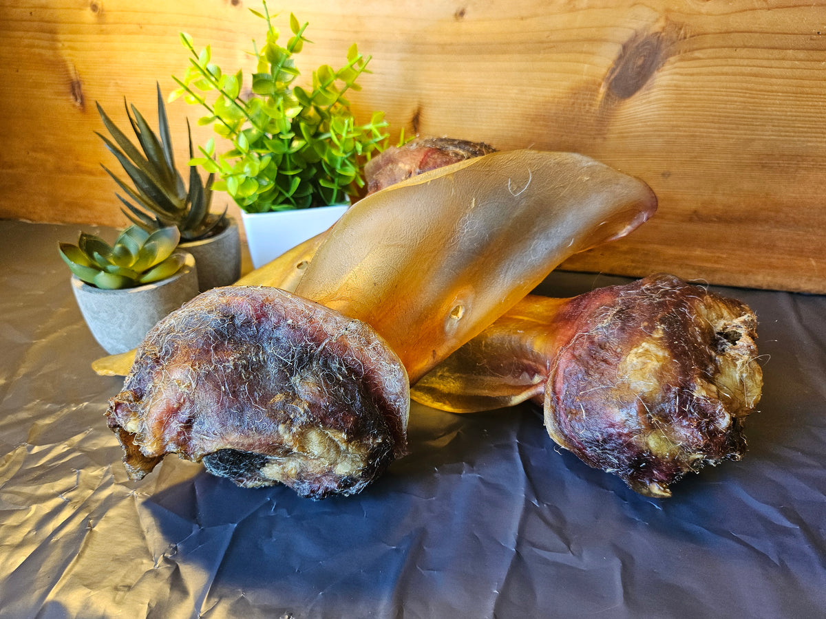 Rinderohr XXL — Bunz No.1