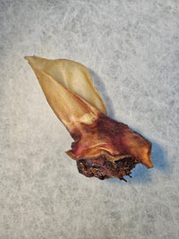 Rinderohr XXL — Bunz No.1